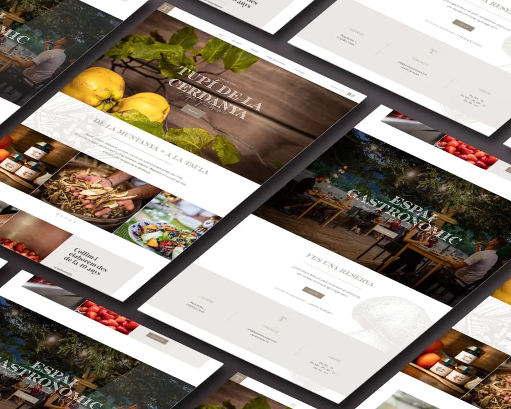 Websites with WordPress